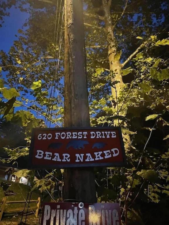 Bear Nakid Villa Pigeon Forge Eksteriør billede